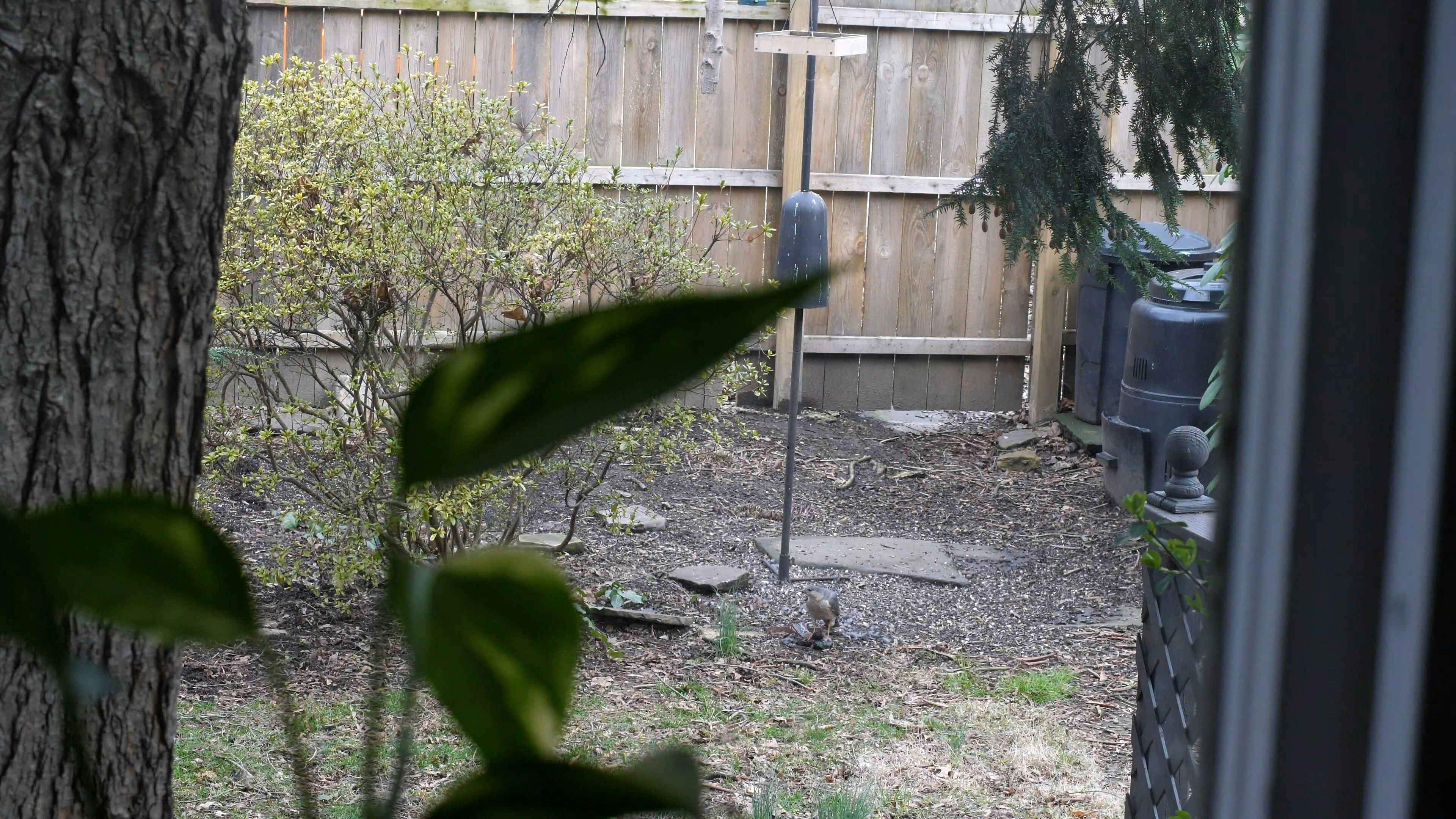 Looking Out: A photo and video series featuring Pittsburgh artists image